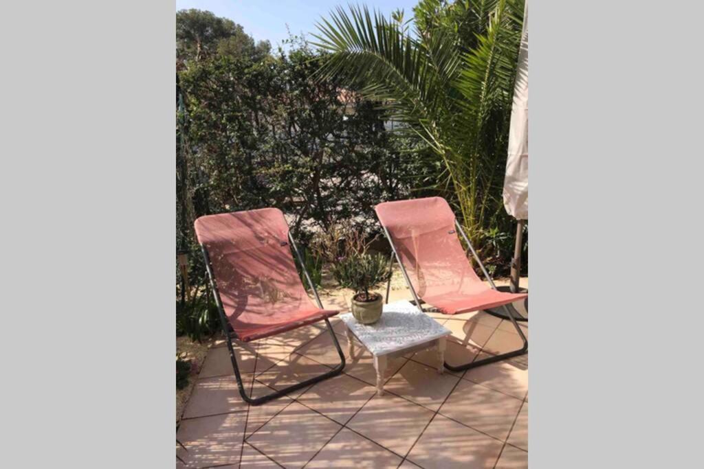 La Petite Pinede Studio Climatise Proche Plage 사나리쉬르메르 외부 사진