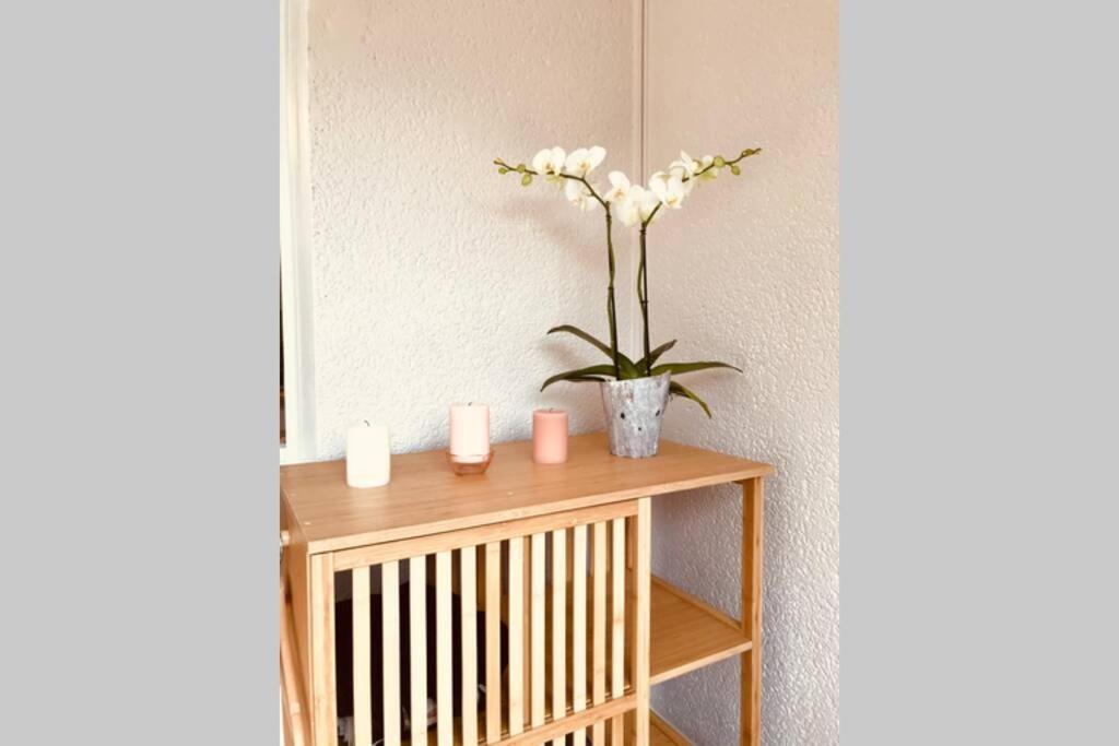 La Petite Pinede Studio Climatise Proche Plage 사나리쉬르메르 외부 사진